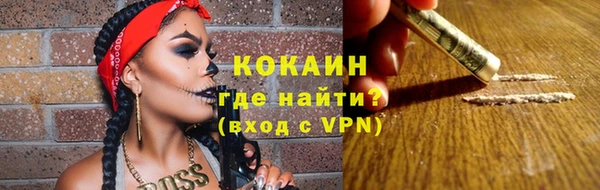 твердый Протвино
