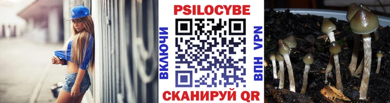 гидра ссылки  Кропоткин  Галлюциногенные грибы Psilocybe 